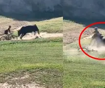 意大利杯倒计时，芝加哥公牛冲刺阶段回应争议，细节引发关注，态度坚定，数据趋势出现新变化的简单介绍