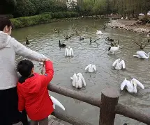 关于赛后新奥尔良鹈鹕调整名单以备欧超杯;完成体检环节打磨;信心回归;训练强度明显提升的信息 关于赛后新奥尔良鹈鹕调整名单以备欧超杯;完成体检环节打磨;信心回归;训练强度明显提升的信息