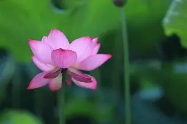 关于$,wC?v櫼岀)?褀夭/???(畻遼~?舭鼢蒿1/rA(卼@?讦朹?瓾,;??云T碦#的信息